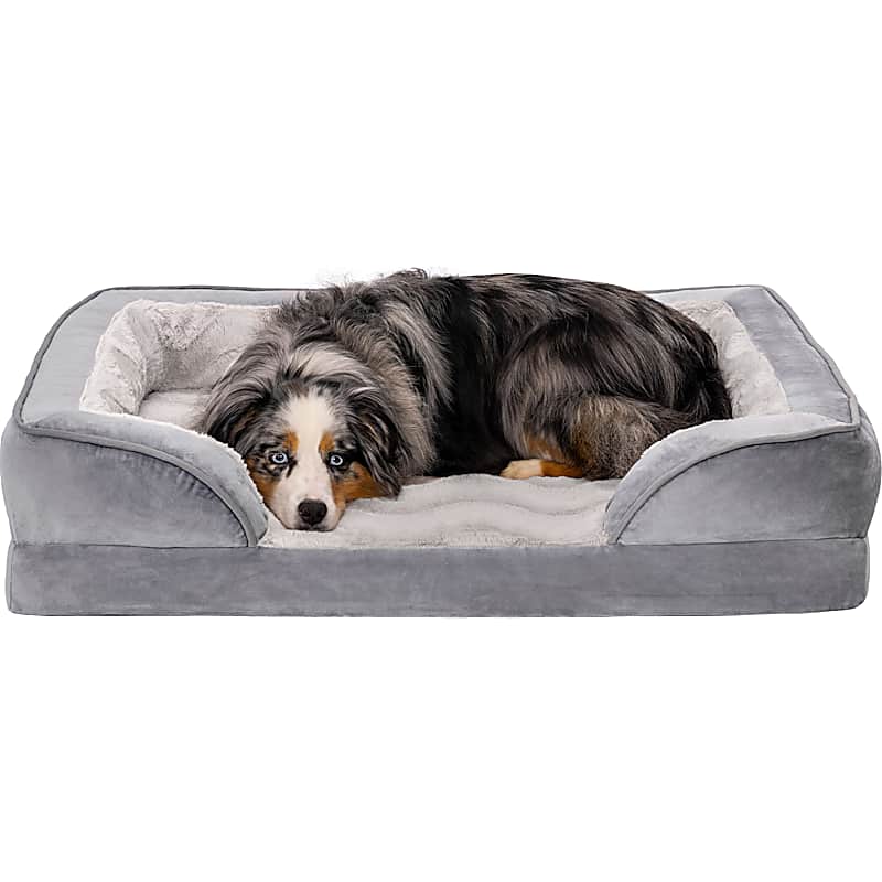 Furhaven Plush Cat Sofa Bed