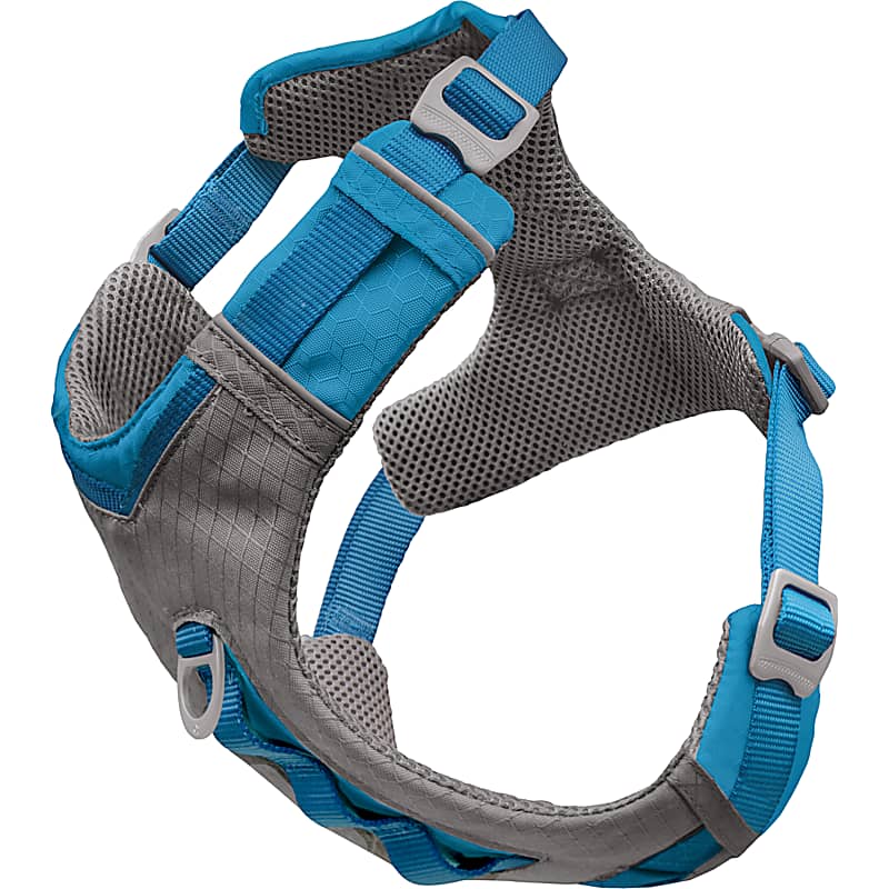 Frisco Adjustable Reflective Dog Collar