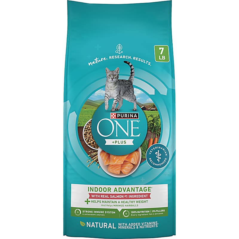 Iams Proactive Health Kitten Dry Cat Food