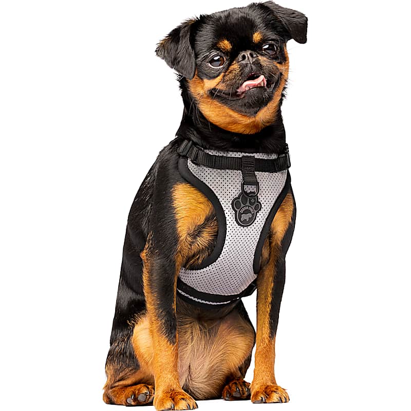 Outward Hound Granby Life Jacket