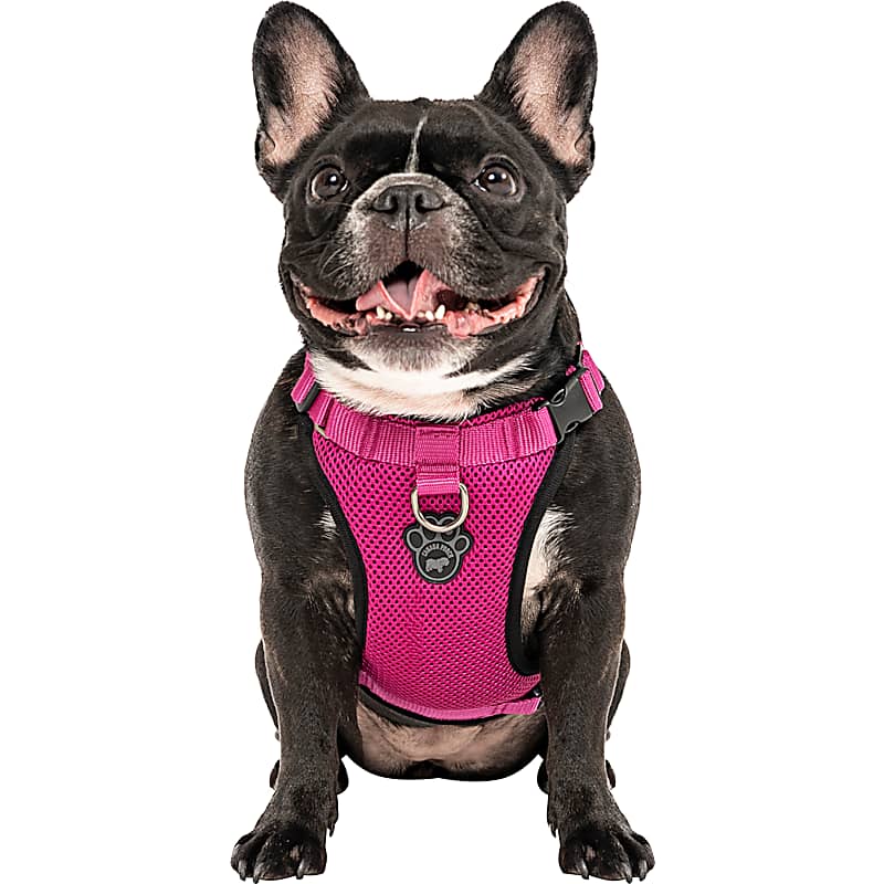 Kurgo Tru-Fit Smart Harness with Seatbelt Tether