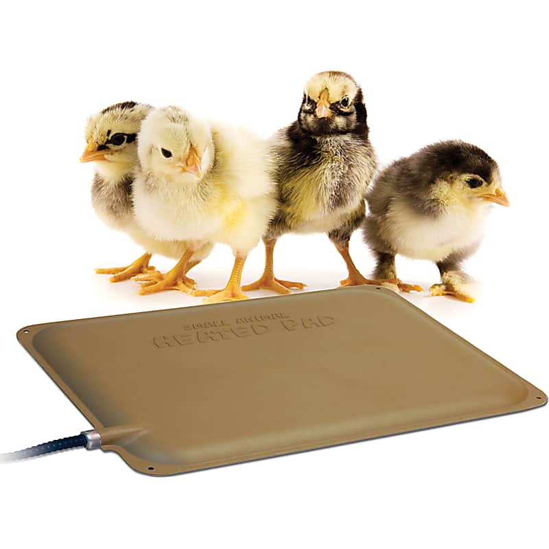 Big Barker Pillow Top Orthopedic Dog Bed