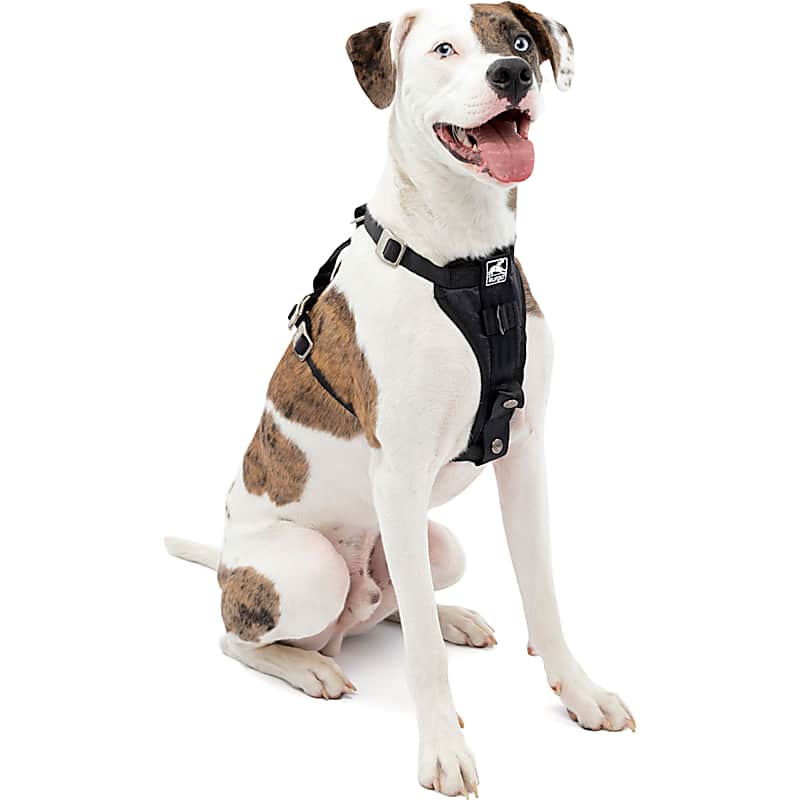 K&H Pet Products Travel Safety Dog Coat