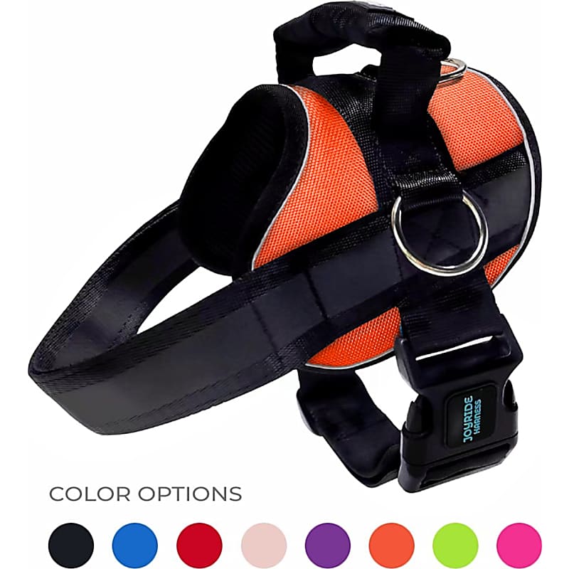 PetSafe Gentle Leader Head Collar