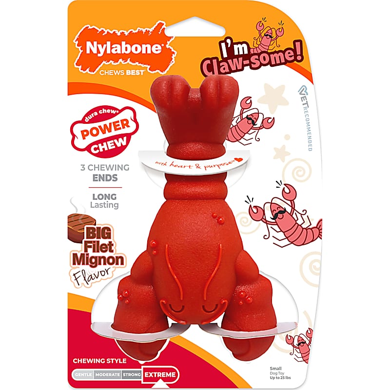 Multipet Loofa Dog Squeaky Plush Toy