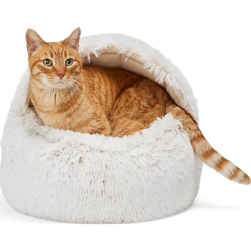 Frisco Elevated Steel-Framed Dog Bed
