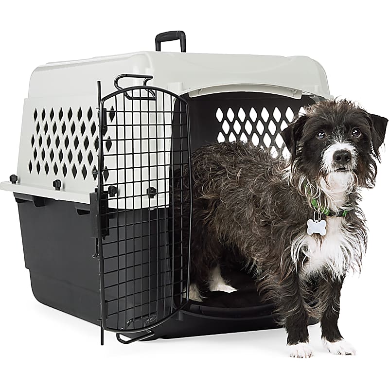 Frisco Travel Litter Box Kit with Scoop