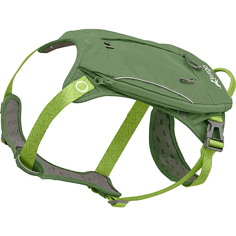 Whistle Go Explore GPS Dog Tracker