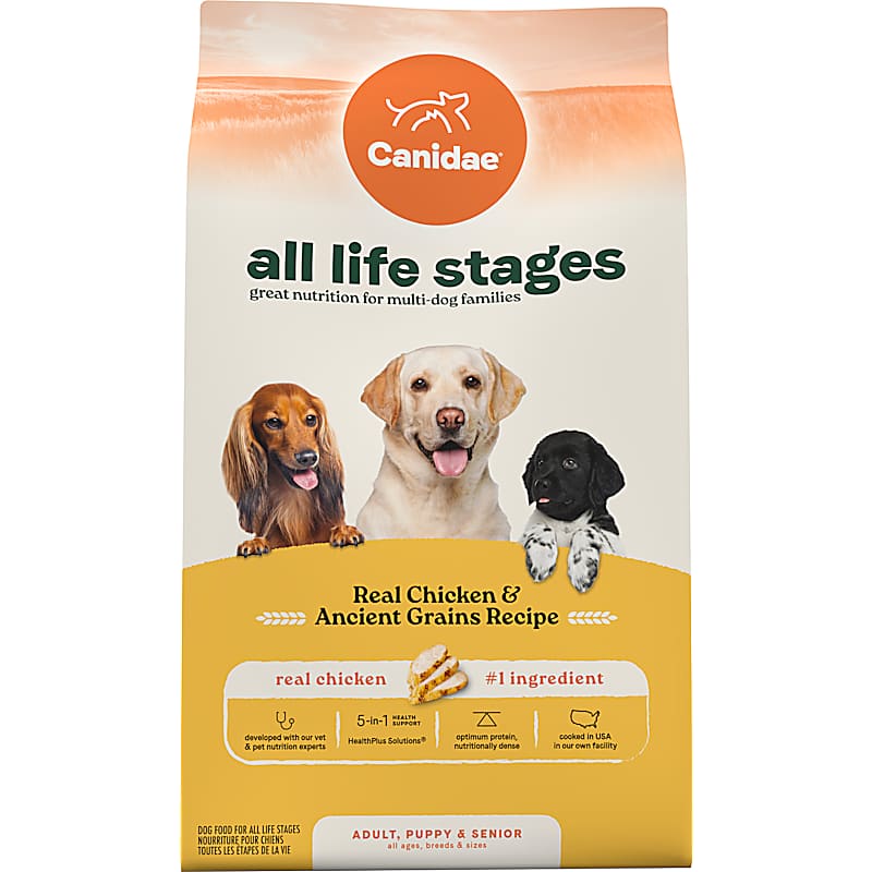 Nutro Grain-Free Senior Salmon & Lentils Dry Cat Food