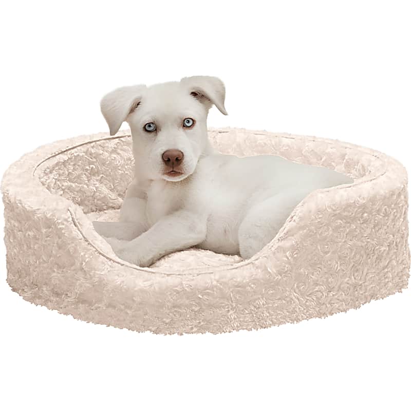 Furhaven Terry & Suede Convertible Sofa Bed