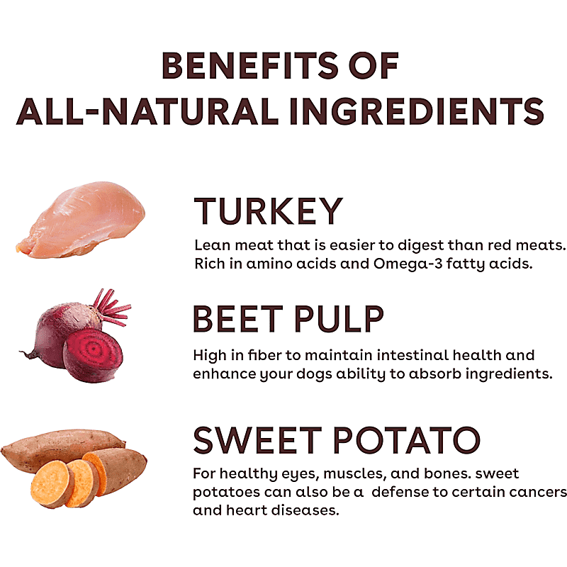 Jinx Grain-Free Chicken, Salmon & Sweet Potato Dry