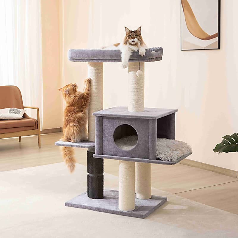 Frisco Cat Tree with Spiral Tunnel Climb