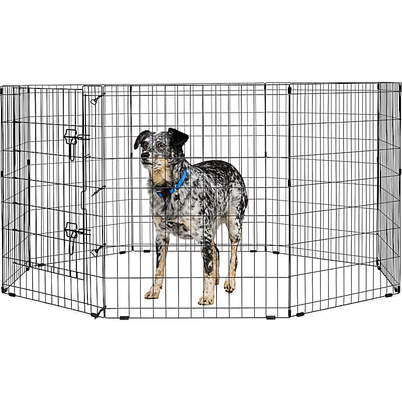 Richell Freestanding Pet Gate with Door