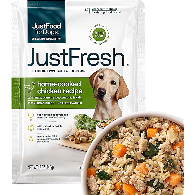 Ollie Fresh Dog Food — Turkey Feast