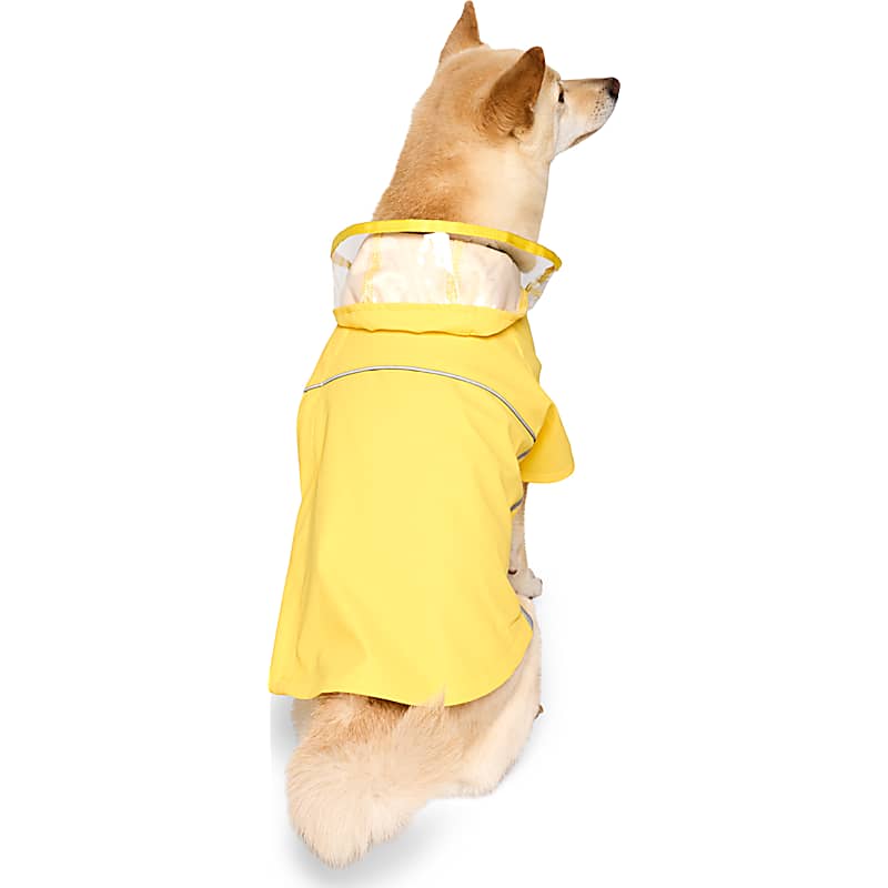 RC Pet Products Primary Paw Dog Coat