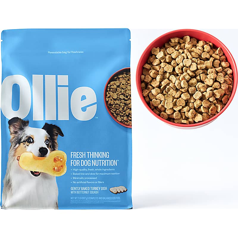 NomNomNow Fresh Dog Food — Chicken Cuisine