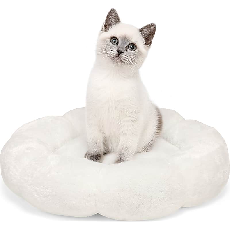 PetSafe Cozy Up Heated Cat Bed