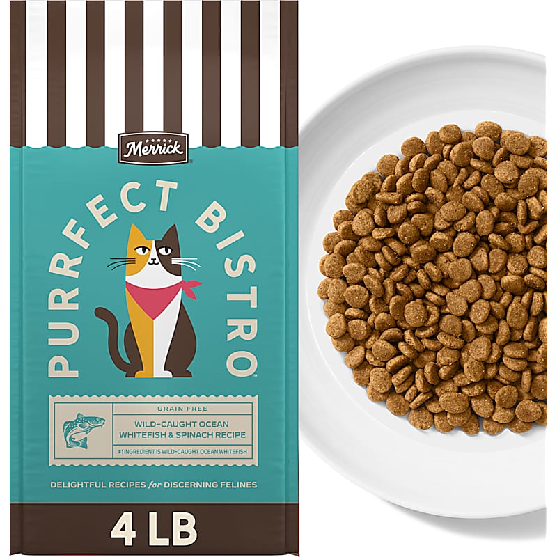 Purina ONE Indoor Advantage Adult Dry Cat Food