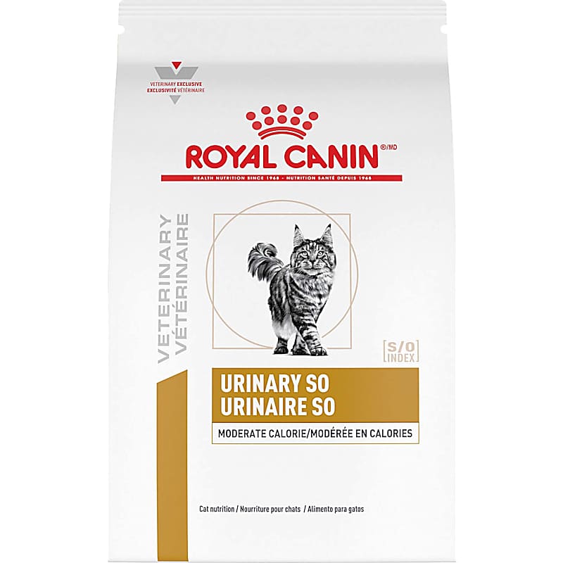Purina Pro Plan Veterinary CN Critical Nutrition Wet Cat