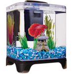 petco 65 gallon aquarium