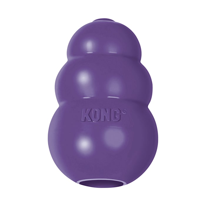 UPC 035585111551 product image for KONG Senior Dog Toy, Small | upcitemdb.com