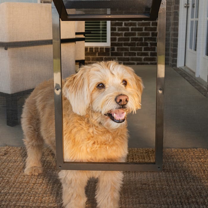 Photos - Other for Dogs PetSafe Pet Screen Door 