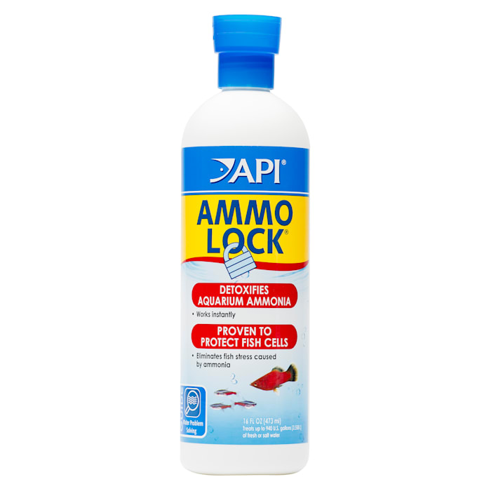 UPC 317163050453 product image for API AMMO-LOCK Freshwater and Saltwater Aquarium Ammonia Detoxifier 16-Ounce Bott | upcitemdb.com