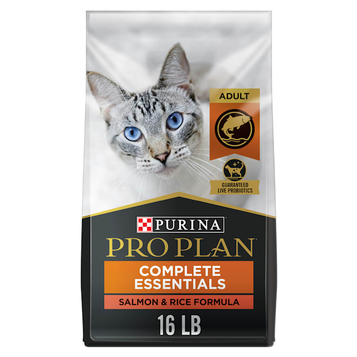 UPC 038100131201 product image for Purina Pro Plan High Protein with Probiotics Salmon & Rice Formula Dry Cat Food, | upcitemdb.com