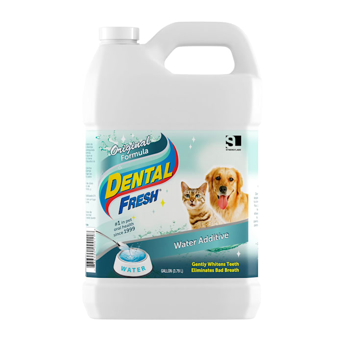 UPC 736990000118 product image for Synergy Labs Dental Fresh for Dogs & Cats | upcitemdb.com