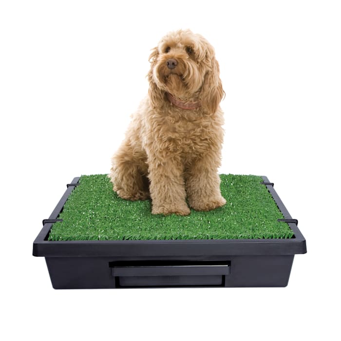 Pet Loo Indoor Yard Training System for Dogs, Green, Medium