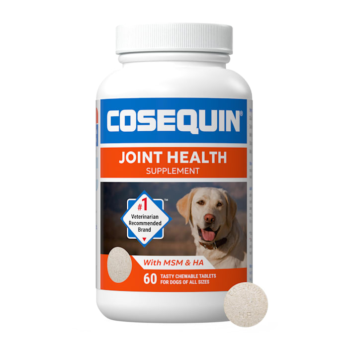 nutramax cosequin maximum strength joint health supplement for dogs  60 chewable tablets
