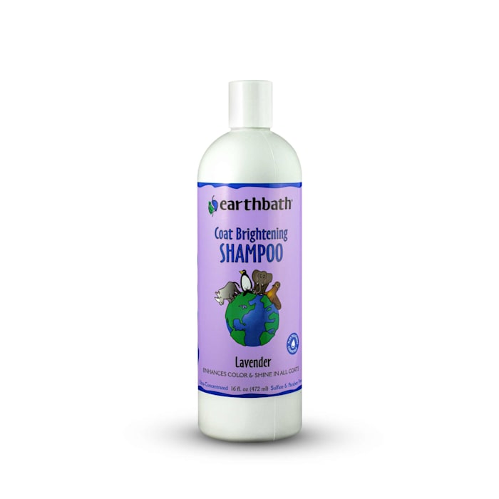 UPC 602644020316 product image for Earthbath Coat Brightening Shampoo for Pets, 16 fl. oz. | upcitemdb.com