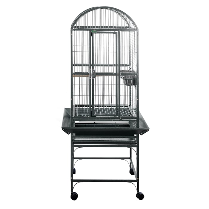 Photos - Bird Сage A&E Cage Company Black Classico Dometop Small Bird Cage, 18" L X 18" W X 51" H 