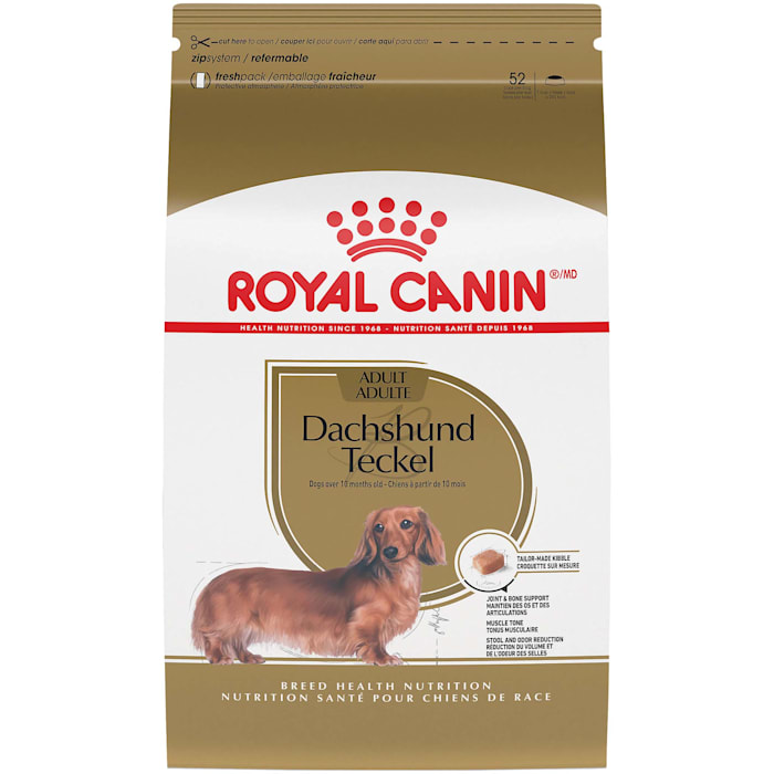 UPC 030111451613 product image for Royal Canin Breed Health Nutrition Dachshund Adult Dry Dog Food, 10 lbs. | upcitemdb.com