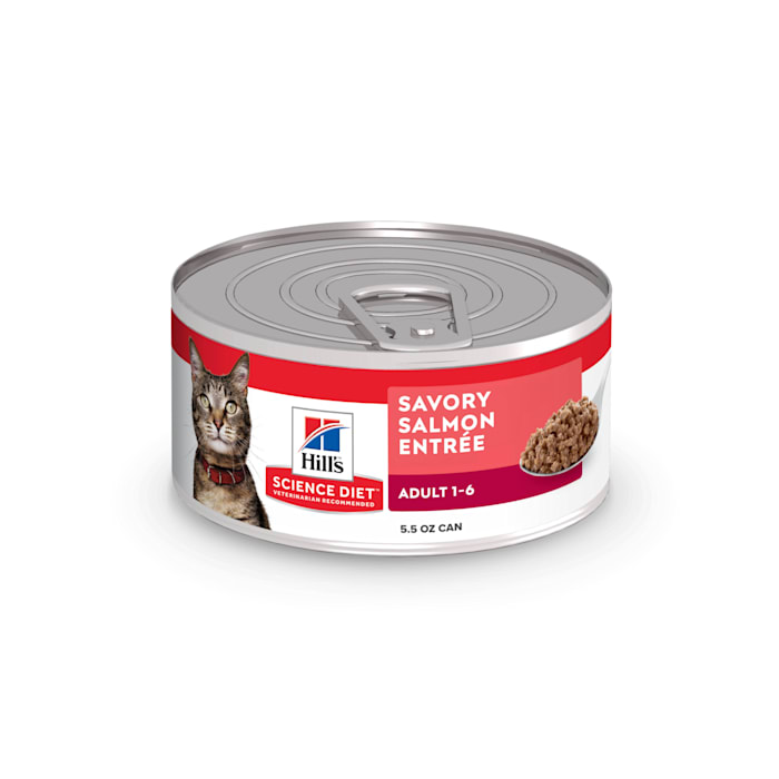 UPC 052742453613 product image for Hill's Science Diet Adult Savory Salmon Entree Canned Cat Food, 5.5 oz., Case of | upcitemdb.com