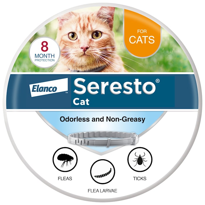 Photos - Dog Medicines & Vitamins Elanco Seresto Seresto Vet-Recommended Flea & Tick Prevention Collar for Cats, Count of 1 