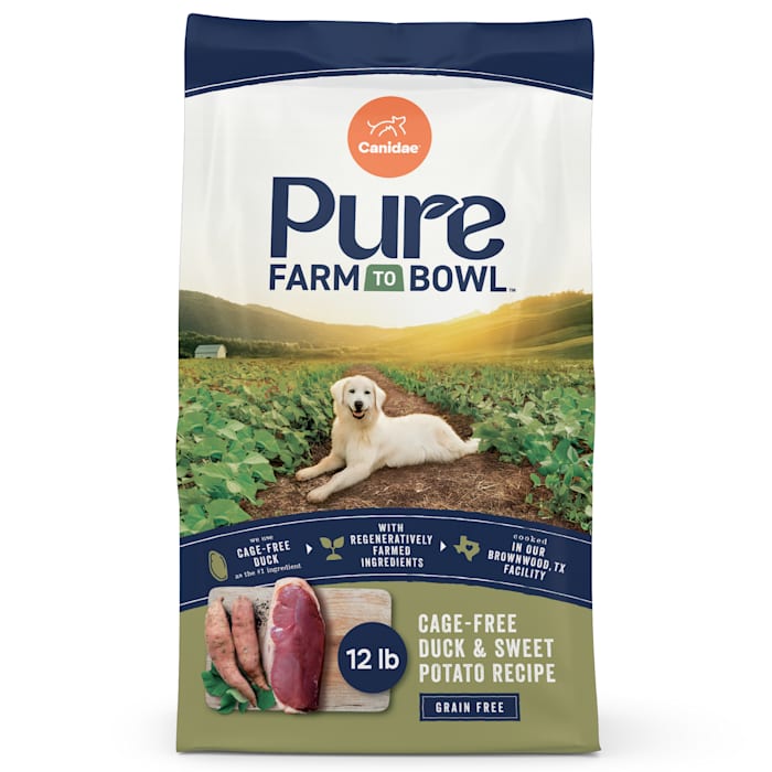 UPC 640461015917 product image for Canidae Pure Grain Free Limited Ingredient Real Duck & Sweet Potato Dry Dog Food | upcitemdb.com