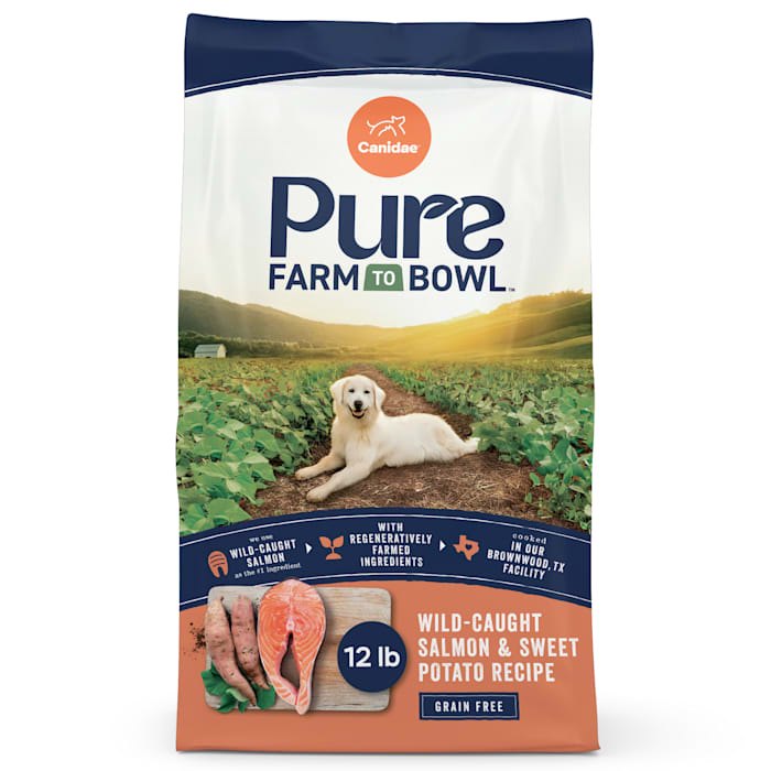 UPC 640461013418 product image for Canidae Pure Real Salmon & Sweet Potato Recipe Adult Dry Dog Food, 12 lbs. | upcitemdb.com