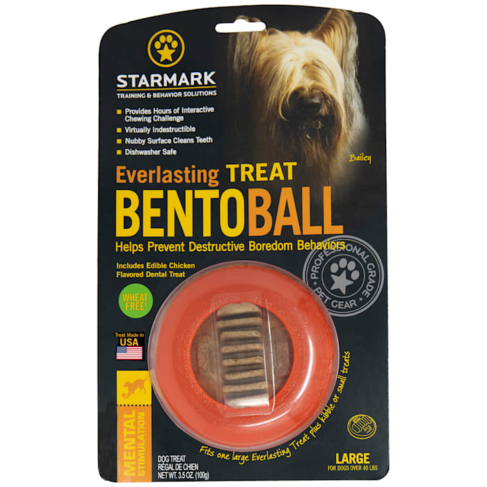 UPC 873199001284 product image for Starmark Everlasting Bento Ball with Dental Treat Dog Toy, Large | upcitemdb.com