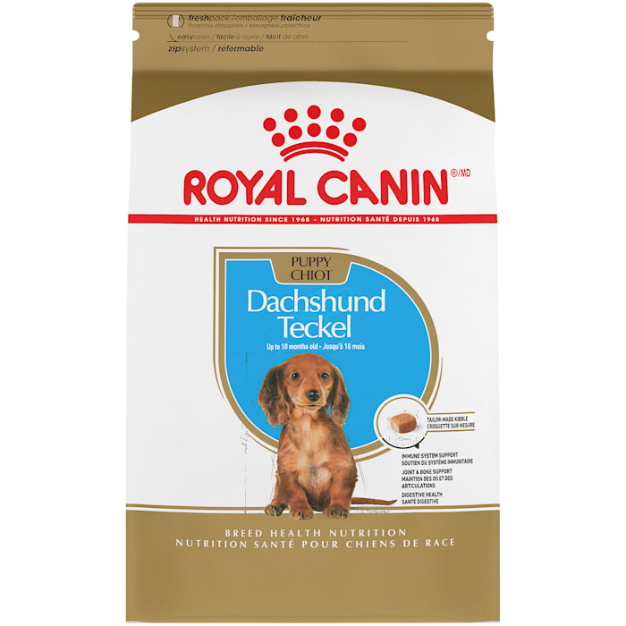 UPC 030111451958 product image for Royal Canin Breed Health Nutrition Dachshund Puppy Dry Dog Food, 2.5 lbs. | upcitemdb.com