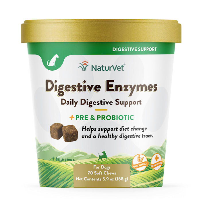 UPC 797801036993 product image for NaturVet Digestive Enzymes Plus Pre & Probiotics Soft Chews for Dogs, 5.9 oz., C | upcitemdb.com