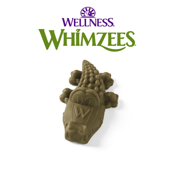 UPC 815436011595 product image for Whimzees Large Alligator Natural Daily Dental Long Lasting Dog Treats, Count of  | upcitemdb.com