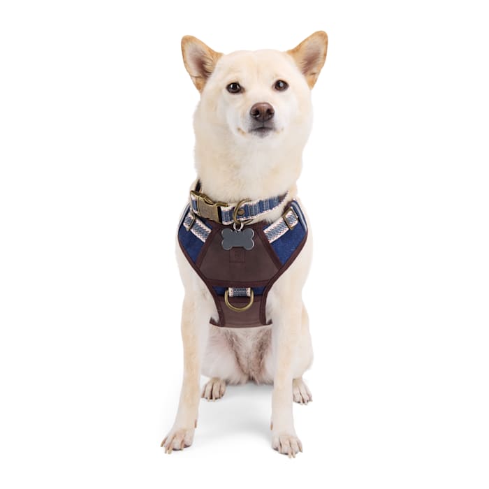 Reddy Denim Dog Harness, Blue, 2XL/3XL