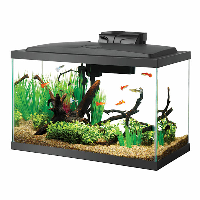 UPC 015905178556 product image for Aqueon LED 10 Gallon Aquarium Kit, 22.88