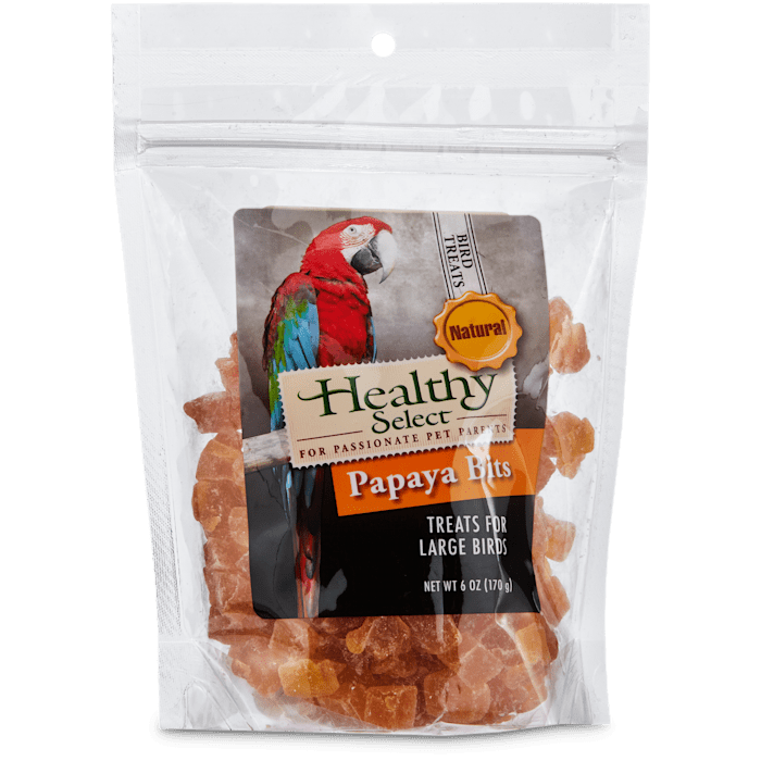 UPC 800443226377 product image for Healthy Select Papaya Bits Treats for Large Birds, 6 oz. | upcitemdb.com