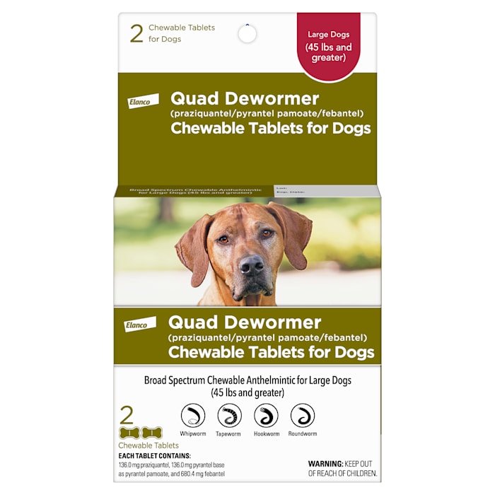 Photos - Dog Medicines & Vitamins Elanco Quad Dewormer Tablets for Dogs Over 45 lbs., Pack of 2 