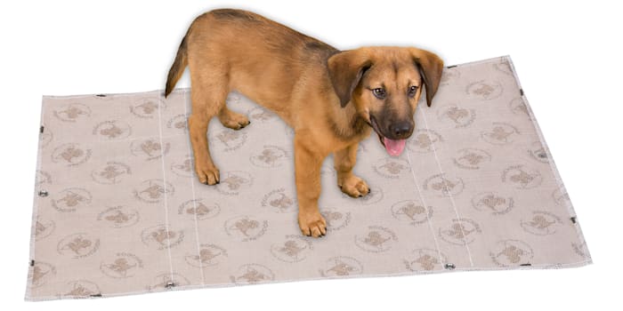 UPC 794219190033 product image for PoochPads Interlocking Reusable Housebreaking Pads 16