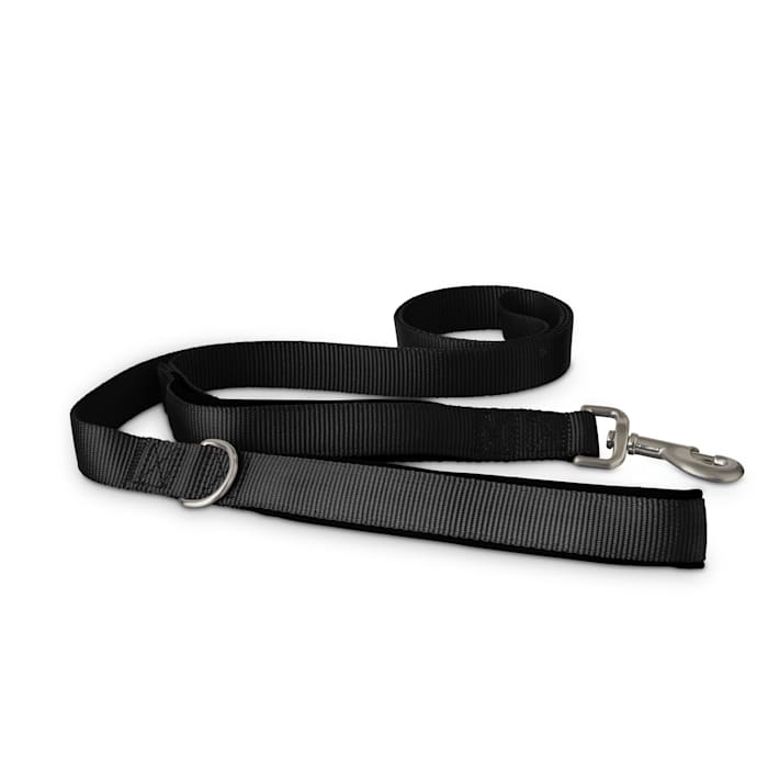 YOULY 2-in-1 Dog Leash, Black, 6-ft long, 1-in wide