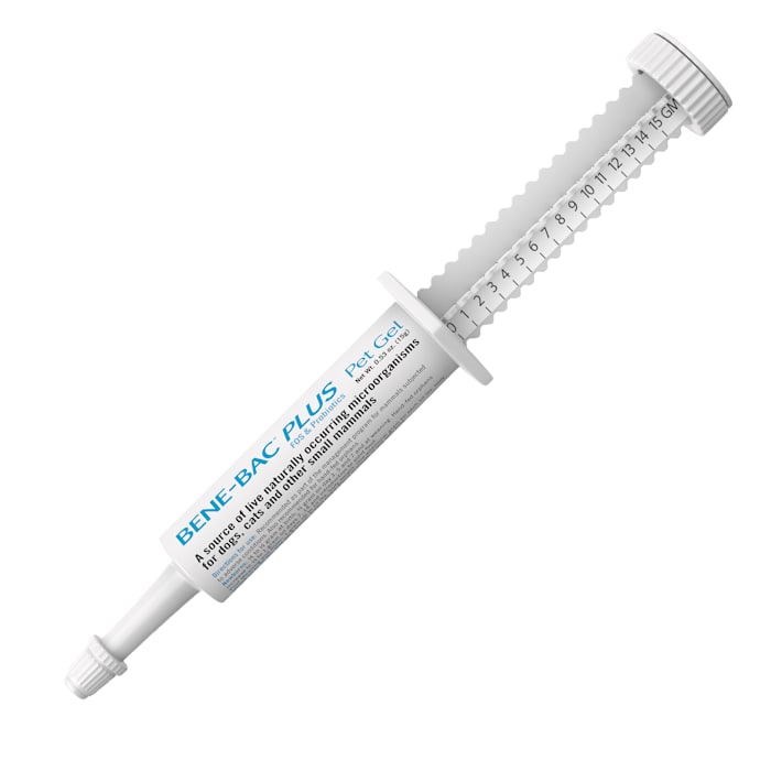 PetAg Bene-Bac Plus Pet Gel, 15 Gram Syringe