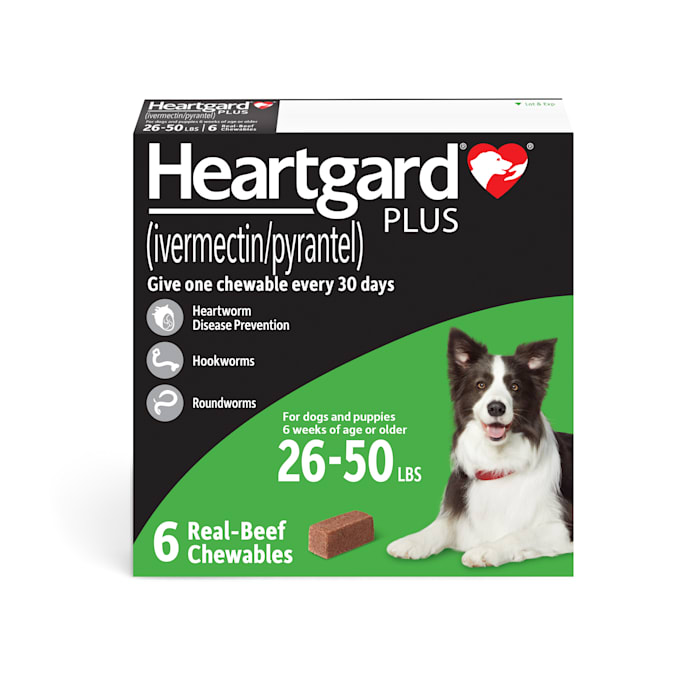 Heartgard Plus Chewables for Dogs 26 to 50 lbs., 6 Month Supply